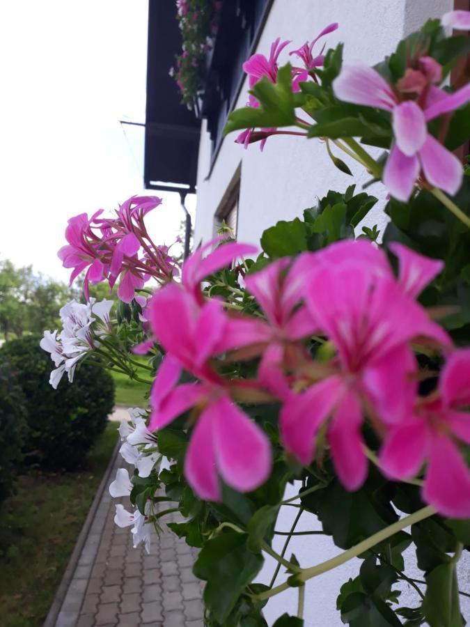 Apartment Lena Gornji Vaganac Exterior photo