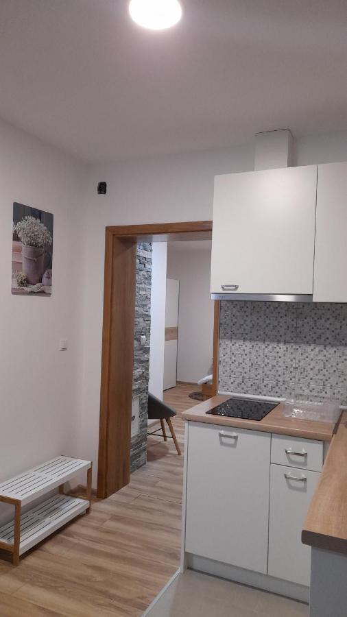 Apartment Lena Gornji Vaganac Exterior photo